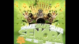 Dj Rockmaster B - Shake Shake Shake Senora Feat Mc Puppet Dj A-Newman Mix 