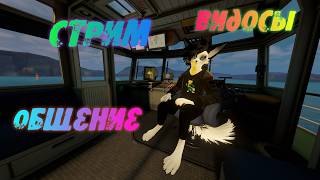 Стрим с видосами и общением