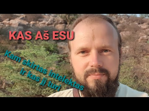 Video: Kur ir atrasti jabirus?