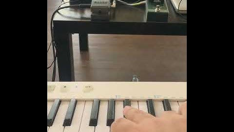 Behringer Model D with TC Electronic Gauss Tape Echo and Boss RV-5 Digital Reverb