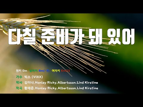 [은성 반주기] 다칠준비가돼있어 - 빅스(VIXX)