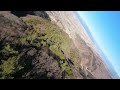 Diving the forest - TBS Chupito