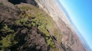 Diving the forest - TBS Chupito