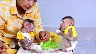 Oh, This is my favorite mom, there is delicious food for you Lovely Vicky, Charly