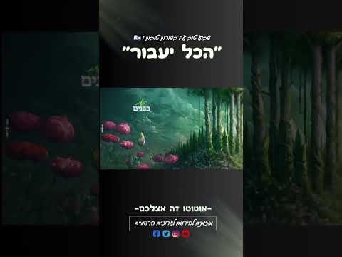 שיר חדש ומרגש מאוד בדרך אליכם ! 🤍🇮🇱🤍