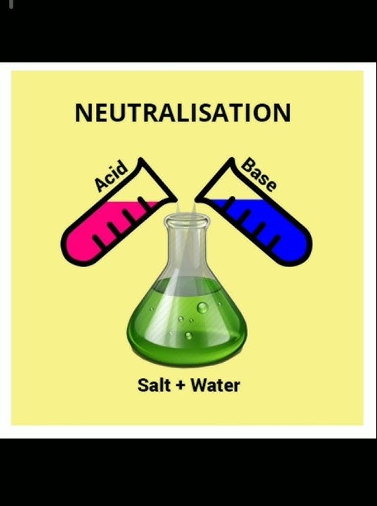 neutralisation-reaction-define-neutralisation-reaction-with-examples