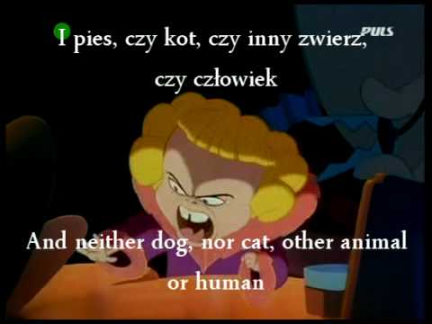 Youtube Big And Loud Cats Don T Dance Youtube Big And Loud Cats Don T Dance