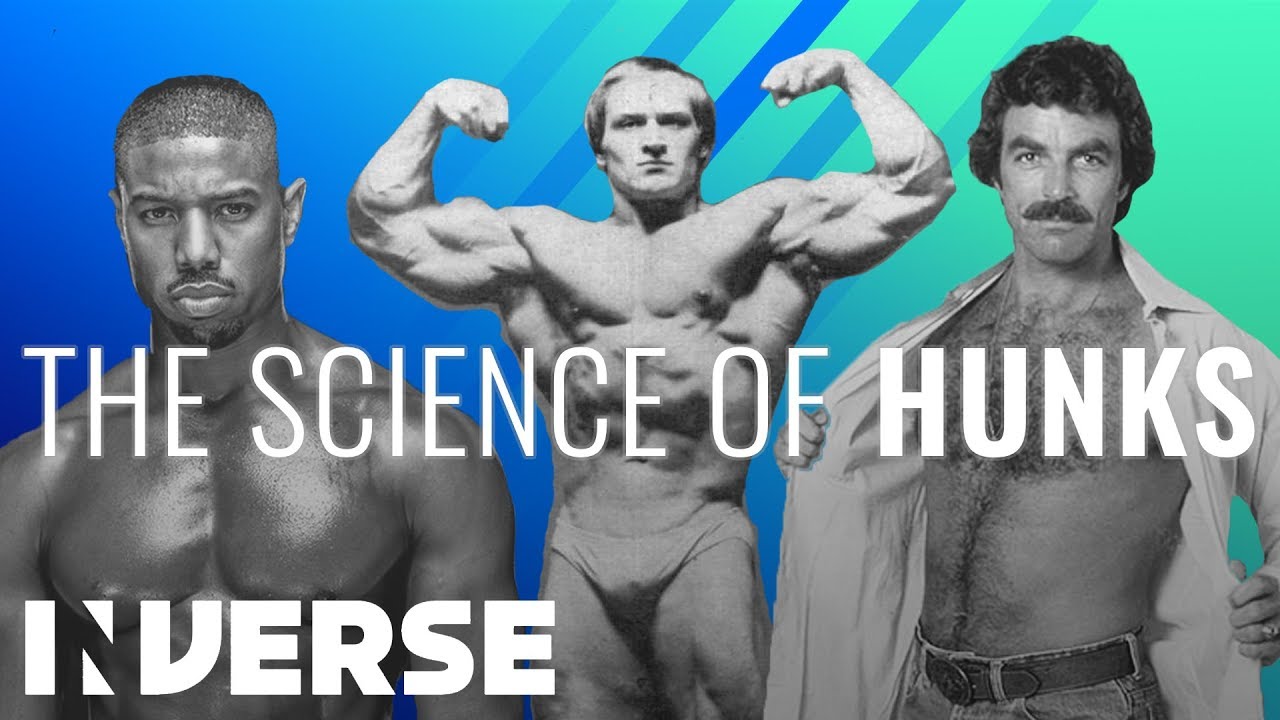 What makes a man attractive? Hint: Look at his limbs, Science