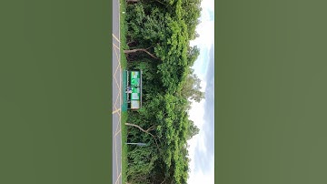 Đường Rừng Sác Cần Giờ, cung đường xanh mát giữa rừng ngập mặn #cangio #rungsac #unesco #nature