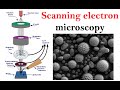 Electron microscopy lecture | Scanning electron microscope