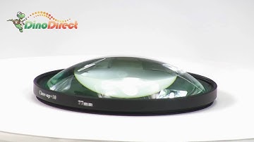77mm Macro Close-Up +10 Lens Filter for Digital Camera  from Dinodirect.com