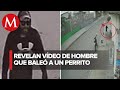 Video de Los Reyes de Juarez