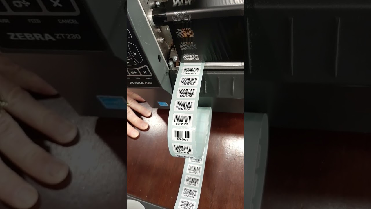 Etichette con codice a barre progressivo per cespiti