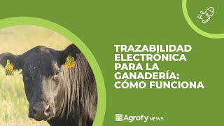 CARAVANA ELECTRÓNICA en la #ganadería argentina: "CUANDO ALGUIEN HACE EL CLIC NO VUELVE ATRÁS" screenshot 1