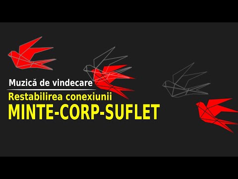 Video: Încercare De Vindecare