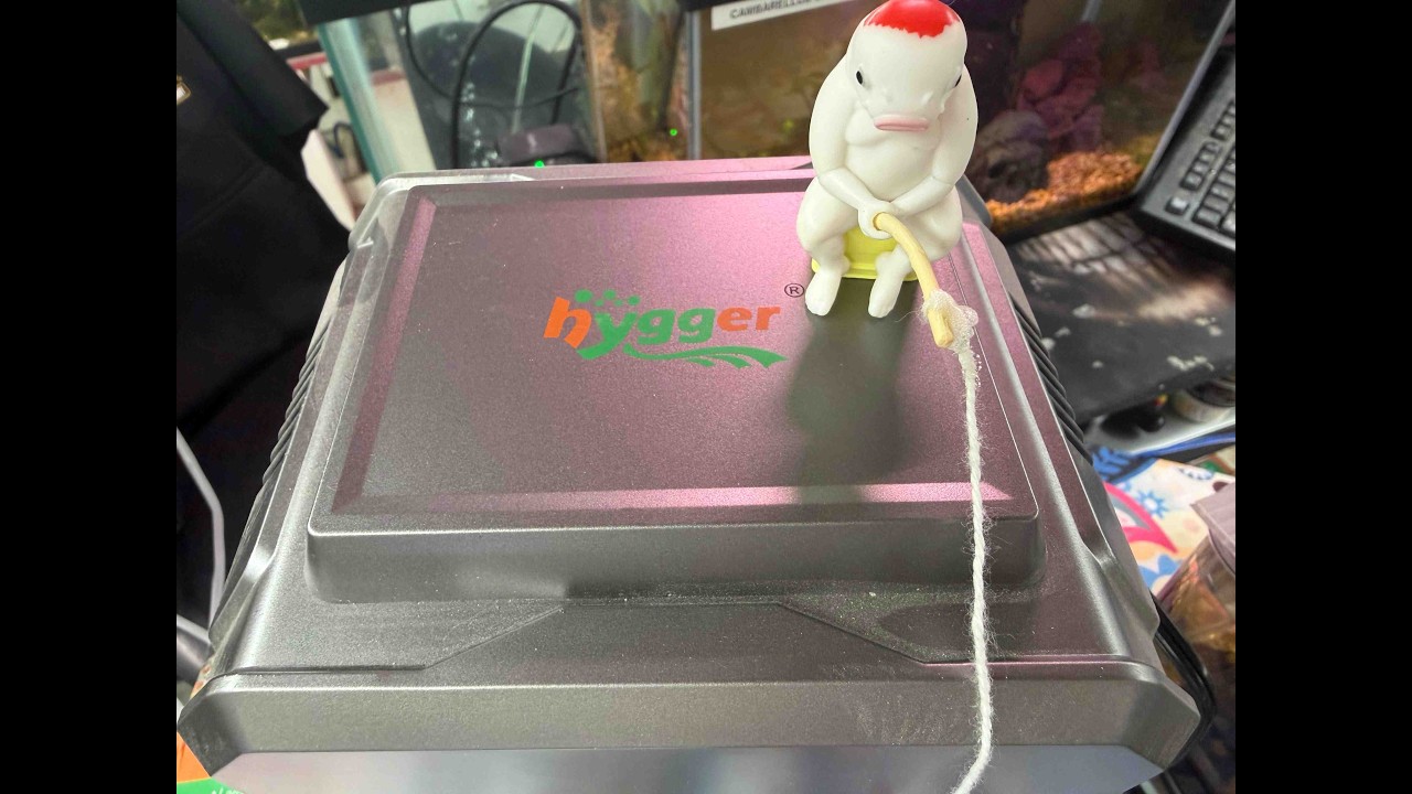 Hygger 158 Air Pump install