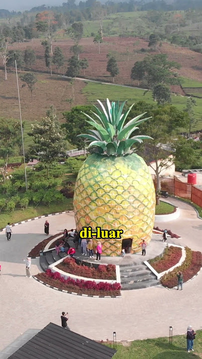 Ada Semangat Tersembunyi Di Balik Tugu Nanas #subang