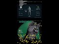 kitty space adventures