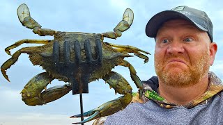 I Caught SWAMP THING!! Maryland Blue Crabs & Striped Bass by Mental Health Day 2,034 views 2 months ago 15 minutes