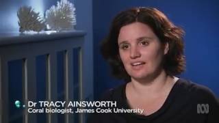 Coral Bleaching - ABC Catalyst