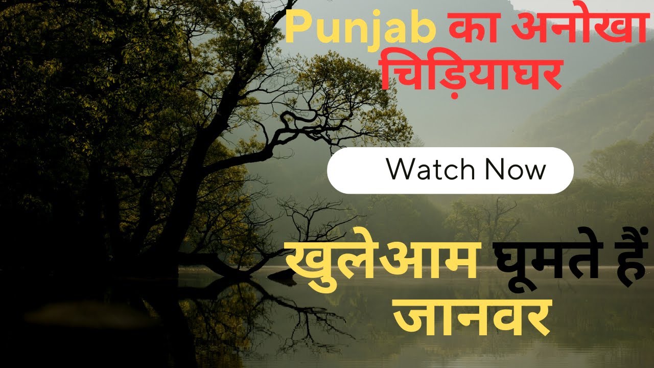 Chhatbir Zoo in Chandigarh ||full tour with appievlogs