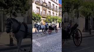 Jerez de la Frontera - Cádiz - Esp🇪🇸 @EmilioViajero