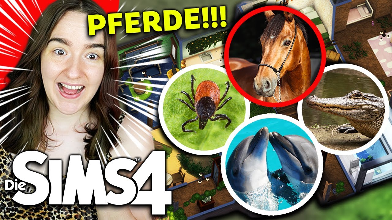 Sims 4 ABER jeder Raum ist ein ANDERES TIER! 😍 Sims 4 Bau Challenge 🐬🐻🦁🦀 Nesmeralda
