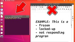 How to force close a frozen program on Ubuntu