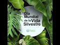 Día Mundia de la Vida Silvestre