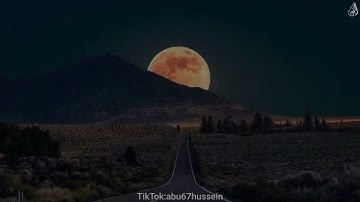إِنَّ الْمنَافِقينَ فِي الدرْكِ الأَسْفلِ مِنَ النارِ - (آيات من سورة النساء) - القارئ محمد اللحيدان