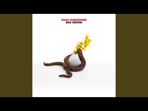 BAD DESIRE - Noah Gundersen