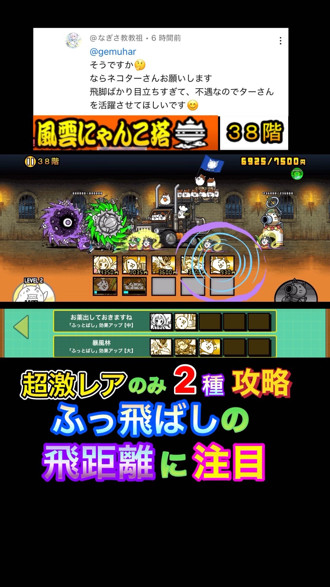 風雲にゃんこ塔38階】超激レアのみ2種超絶ふっ飛ばし攻略💨なぎさ教