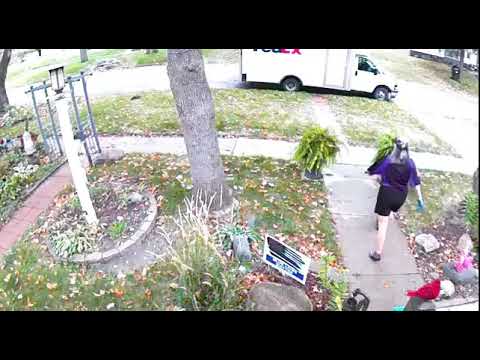 Fed Ex driver angle 2