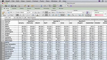 How to Add Lines on an Excel 2007 Sheet : MS Excel Tips