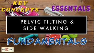 PELVIC TILTING - PT5 TILTS & SIDE WALKING - Exercises For Multiple Sclerosis