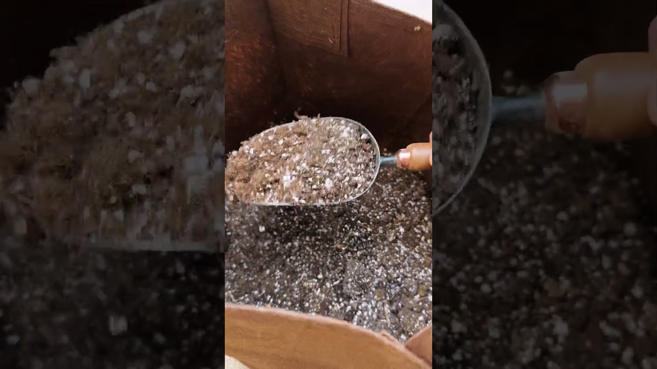 Garden Tools That LAST #garden #gardentools #gardeningtools #gardeningtips