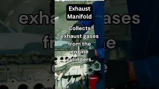 Exhaust Manifold: Uses, Functions