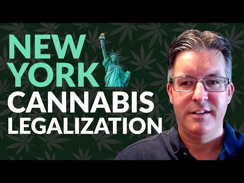 Cannabis Legalization Update: New York, South Dakota, New Mexico
