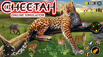 The Cheetah: Online RPG Animal Simulator - Gameplay Walkthrough Part 17 (iOS, Android)
