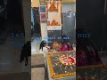 Diwali home decoration #newhome #happydiwali #apnaghar #greaternoidawest