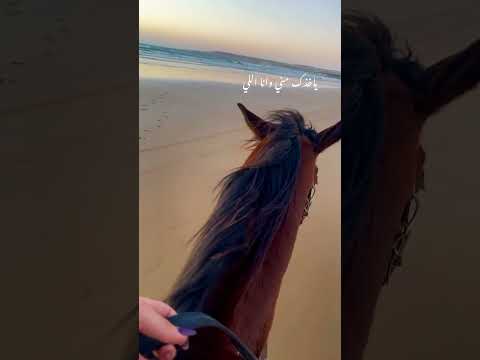 قولي يا خلي من اللي ياخذك مني