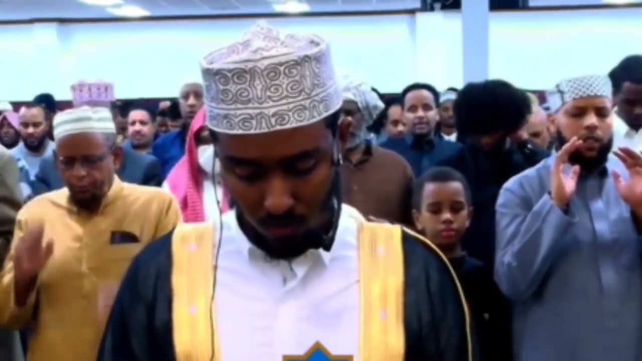 Dr Afiif halkan 3ffaa