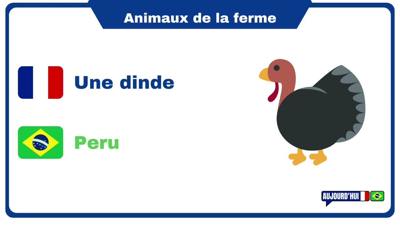 Francês lição 15 - Os animais da fazenda em francês - les animaux de la ferme en français