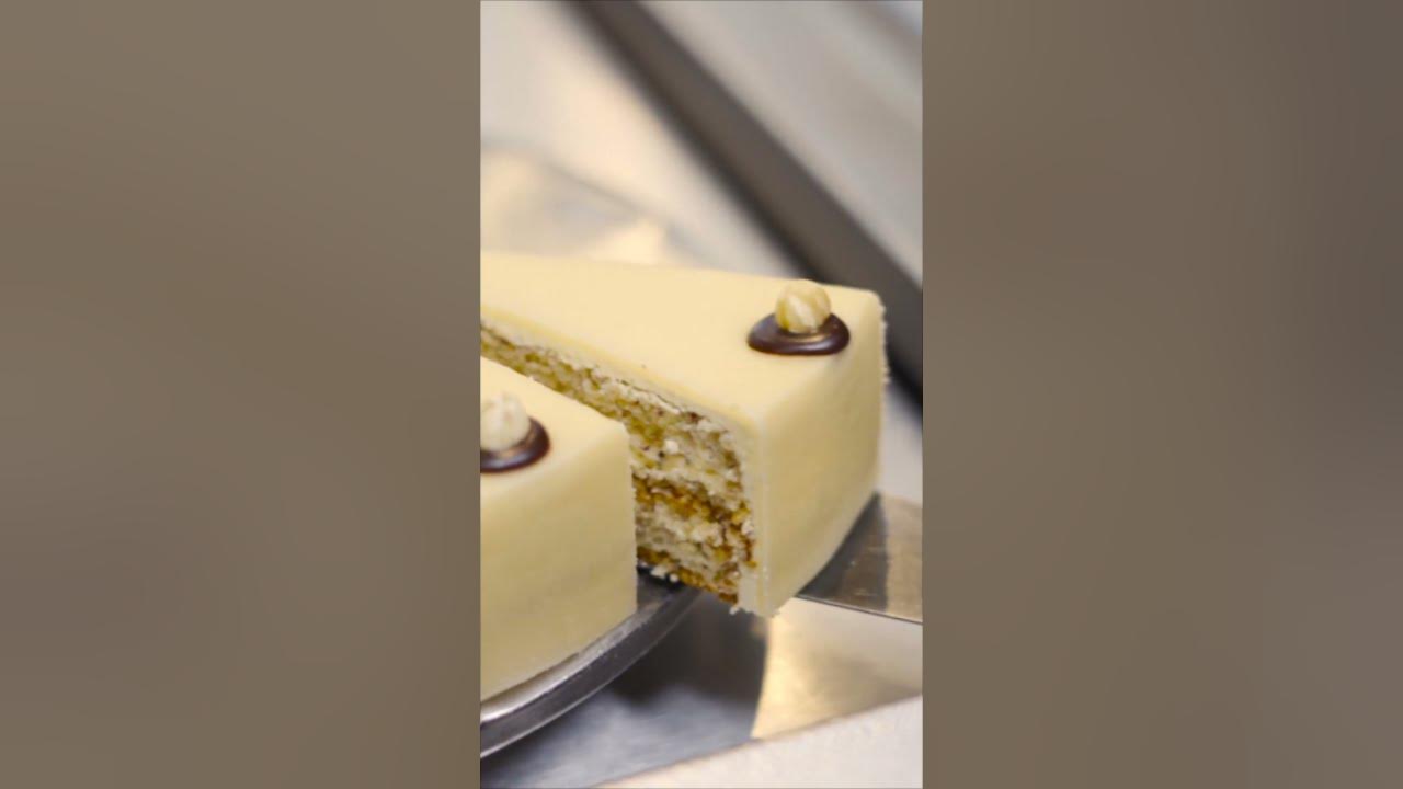 Pflanzen Breuer Sankt Augustin Café Bistro Garten Küche YouTube
