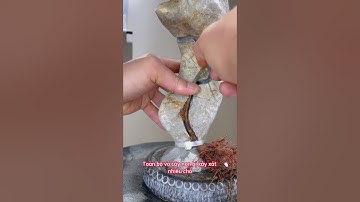 Kỹ thuật ghép cây vào rãnh đá