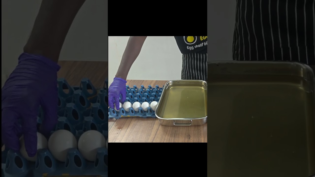 Licious Egg Room Temp Test: Does It Last?