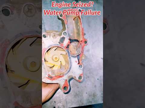 Toyota Hilux Water Pump Failure: The TRAGIC Truth