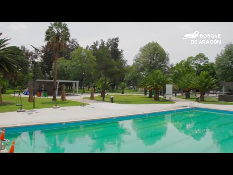 Conoce el Bosque de San Juan de Aragón