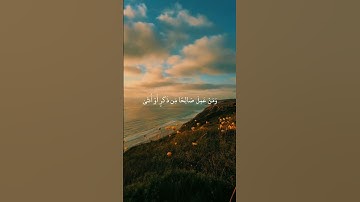 #قرآن #تلاوة_خاشعة #حالات_واتس #ستوريات #بدون_حقوق #تصاميم #quran #fyp #