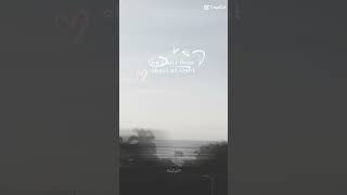 Tear Drops On My Guitartaylor Swift S taylorswift teardropsonmyguitar fypviral